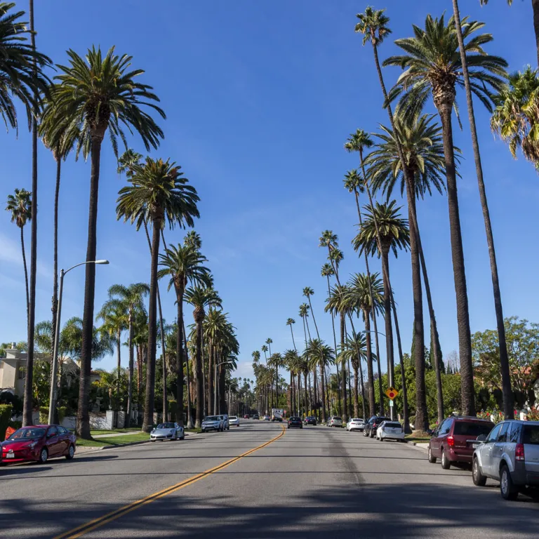 los angeles county usa street